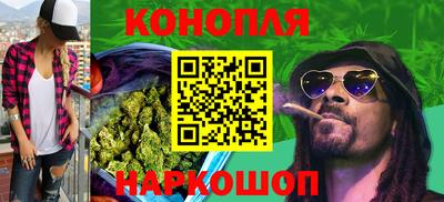 сатива Пенза