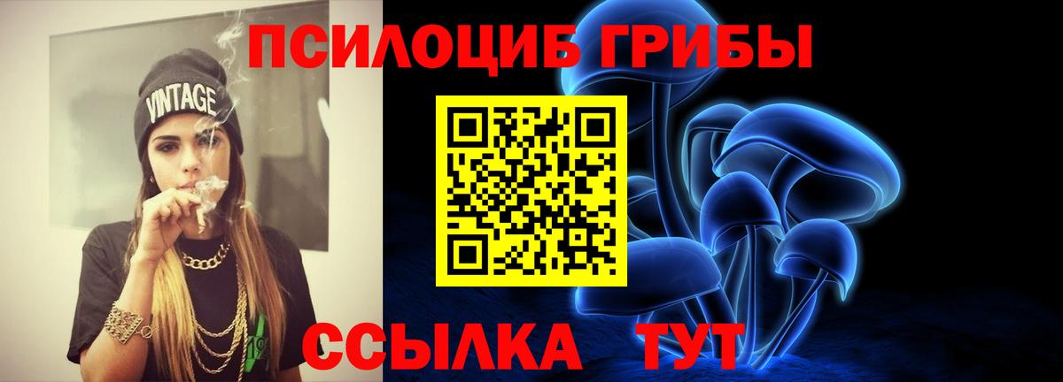 Псилоцибиновые грибы Cubensis Усинск